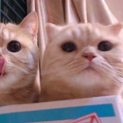 Bea Alonzo avatar